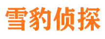 巢湖侦探公司